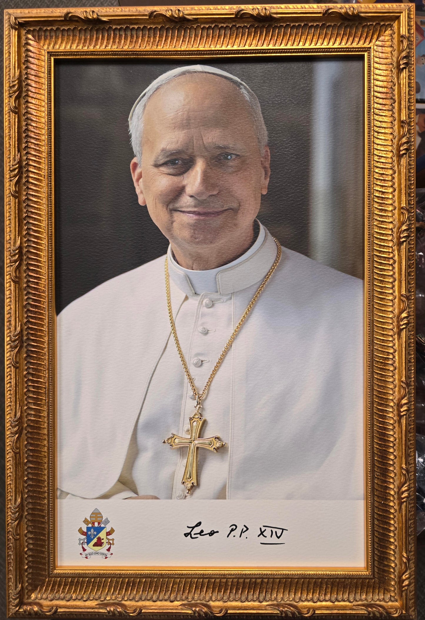 Pope Leo X1V Portrait