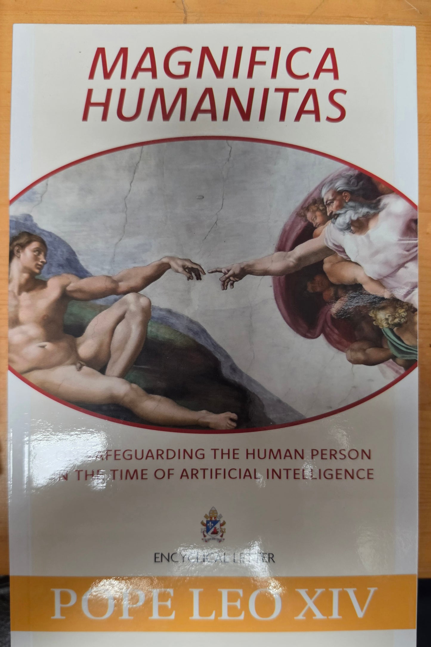 Encyclical Letter - Magnifica Humanitas - Pope Leo X1V