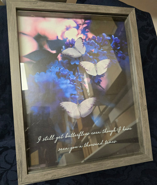 Butterflies - Picture