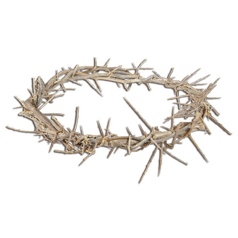 WS342 - 11" Crown of Thorns