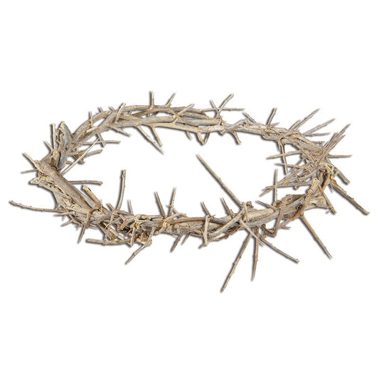 WS342 - 11" Crown of Thorns